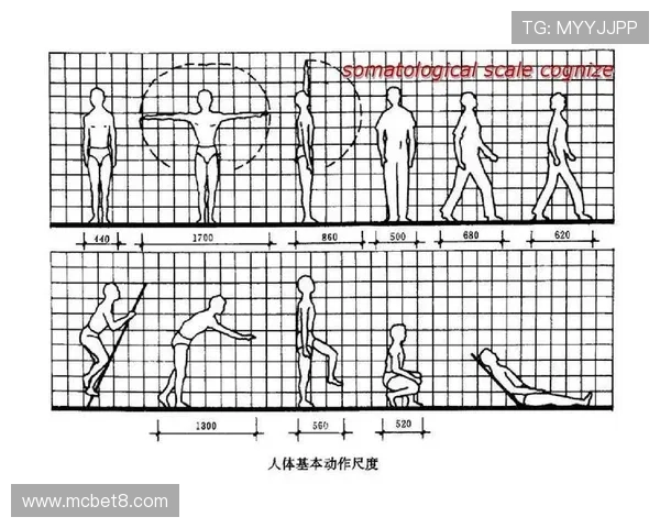 以足球的标准尺寸为基准探讨运动器材的设计与人体工程学应用 以足球的标准尺寸为基准探讨运动器材的设计与人体工程学应用
