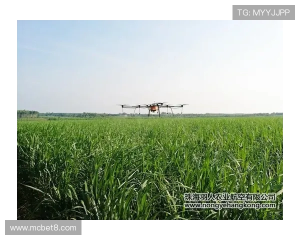 提升足球团队快速转场协同攻防整体化策略研究机制与实践路径探索